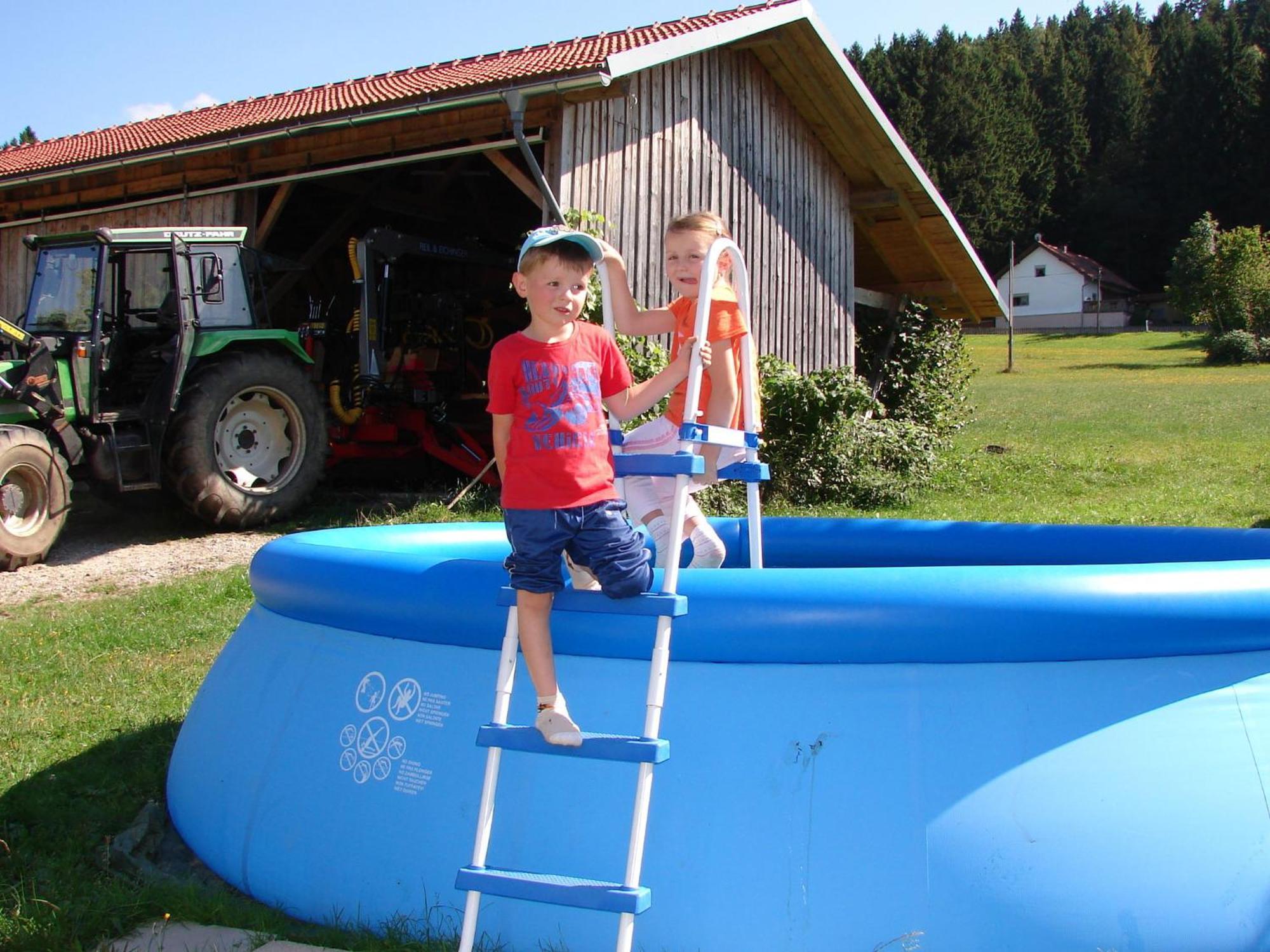 Flat On A Farm Near The Arber Ski Area Neukirchen beim Heiligen Blut Exterior foto